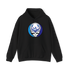 1587 - Custom Stealie Hoodie