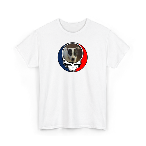 1688 - Custom Stealie T-Shirt