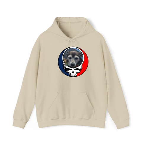 1500 - Custom Stealie Hoodie