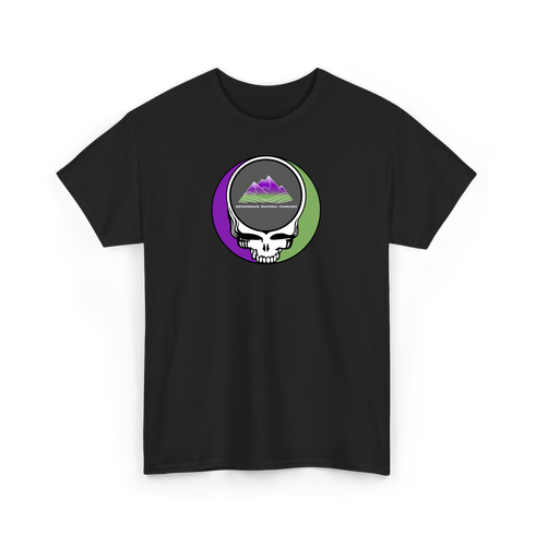 1147 - Custom Stealie Tee
