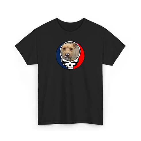 1154 - Custom Stealie Tee