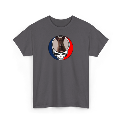 1341 - Custom Stealie Tee