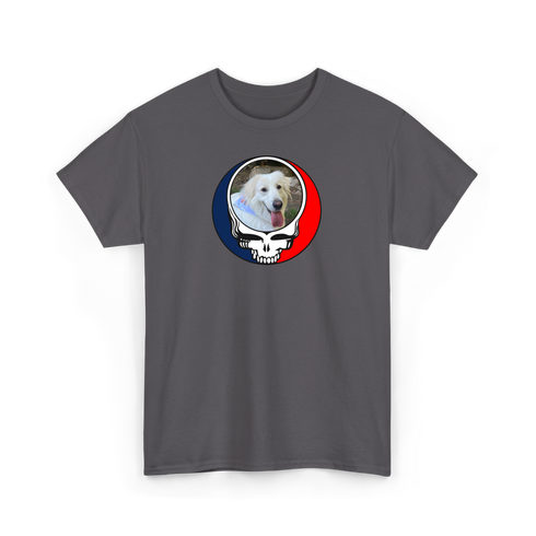 1252 - Custom Stealie Tee
