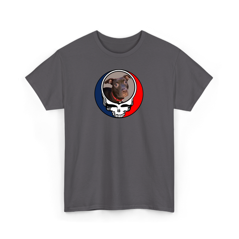 1295 - Custom Stealie Tee