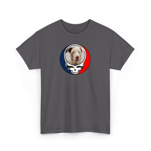 1287 - Custom Stealie Tee