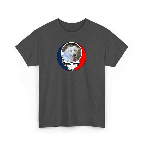 1252 - Custom Stealie Tee