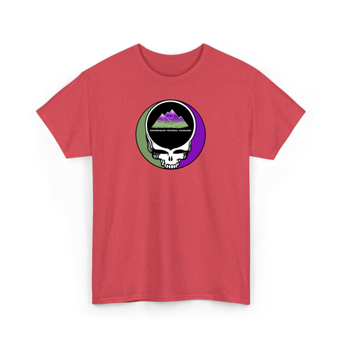 1298 - Custom Stealie Tee