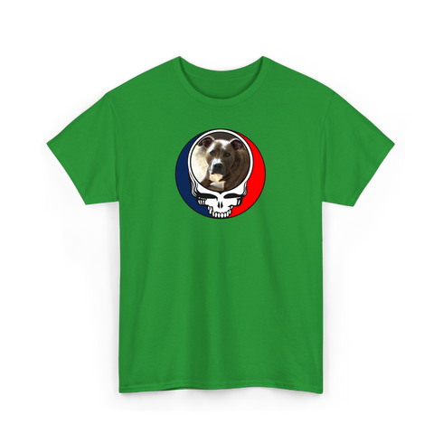1053 - Custom Stealie Tee