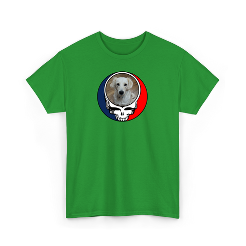 1123 - Custom Stealie Tee