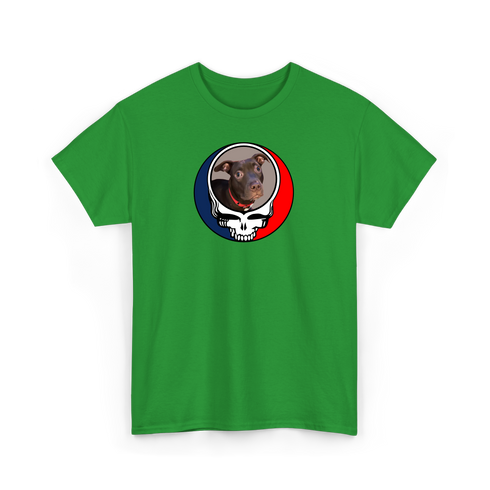 1295 - Custom Stealie Tee