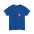 America 250 Stealie T-Shirt