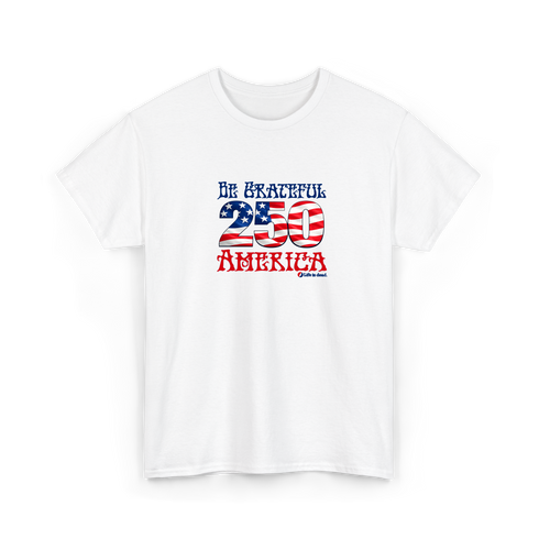Be Grateful America Stealie T-Shirt