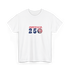 America 250 Stealie T-Shirt