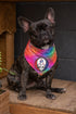 Pat the Patriot Grateful Dead Dog Bandana - Fits Most Dogs Grateful Dead T-Shirt