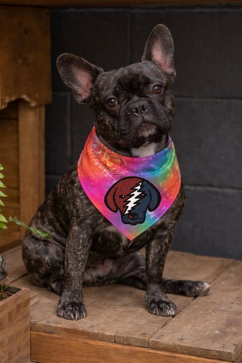 Stealie Pup Grateful Dead Dog Bandana - Fits Most Dogs