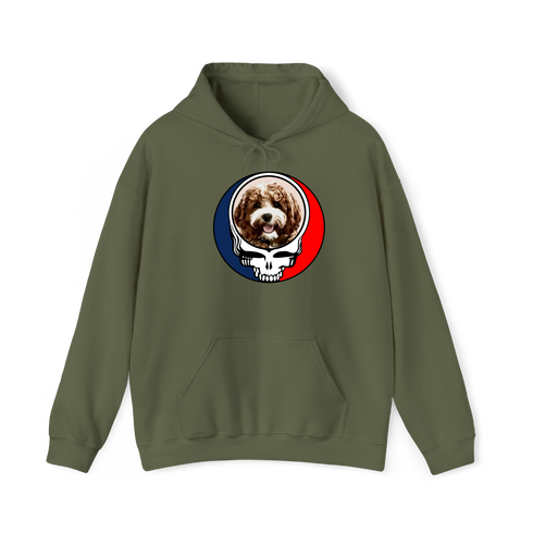 1730 - Custom Stealie Hoodie