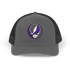 Northwestern Stealie Grateful Dead Trucker Cap