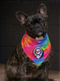 Minnesota Twins Stealie Grateful Dead Dog Bandana - Fits Most Dogs