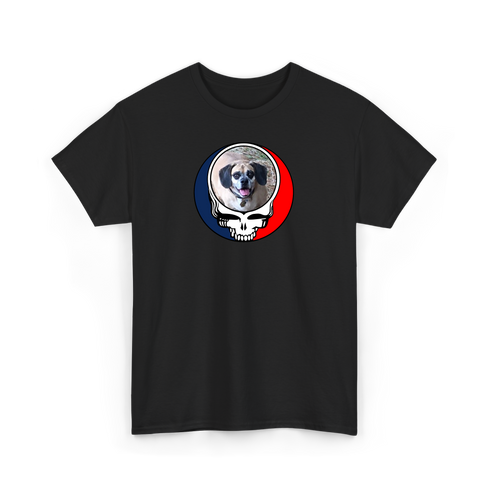 1735 - Custom Stealie T-Shirt