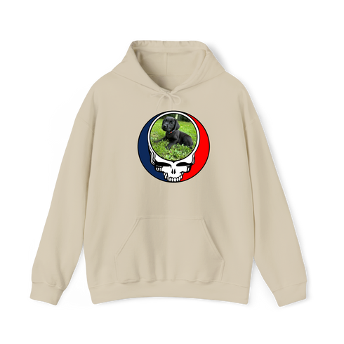 1448 - Custom Stealie Hoodie