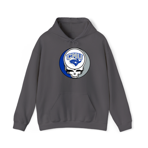1491 - Custom Stealie Hoodie