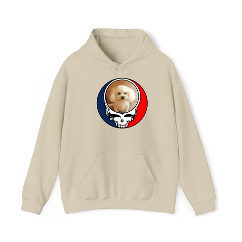 1641 - Custom Stealie Hoodie