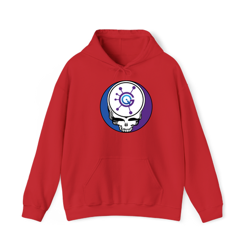 1623 - Custom Stealie Hoodie