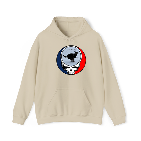 1628 - Custom Stealie Hoodie