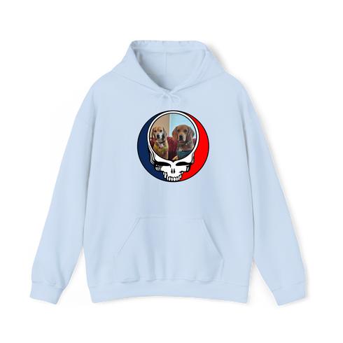 1398 - Custom Stealie Hoodie