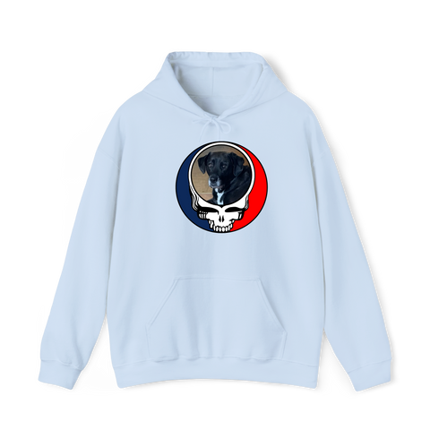 1568 - Custom Stealie Hoodie
