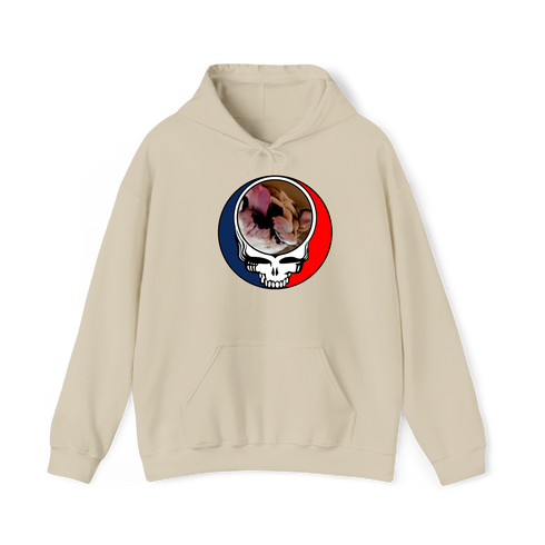 1651 - Custom Stealie Hoodie