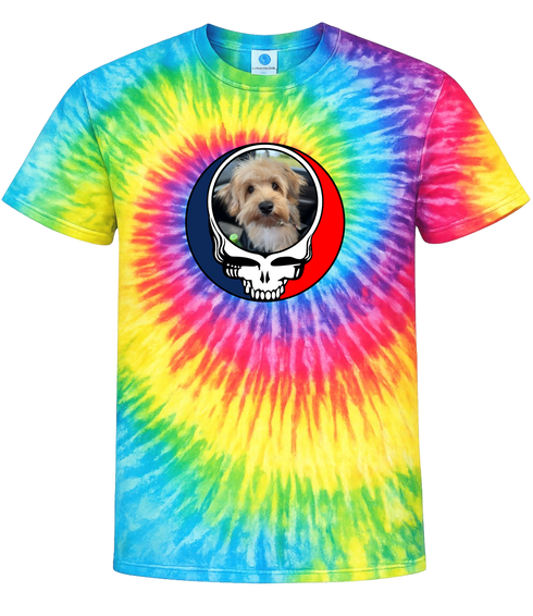 1612 - Custom Stealie Tie-Dye