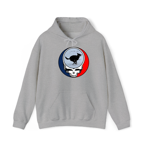 1628 - Custom Stealie Hoodie