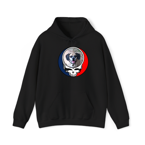 1735 - Custom Stealie Hoodie