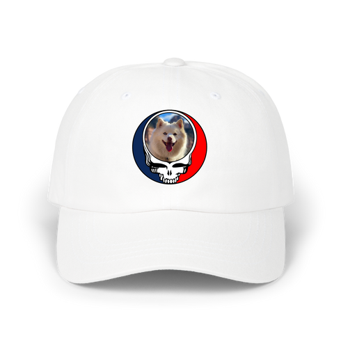 1649 - Custom Stealie Dad Hat