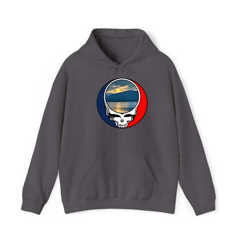 1556 - Custom Stealie Hoodie