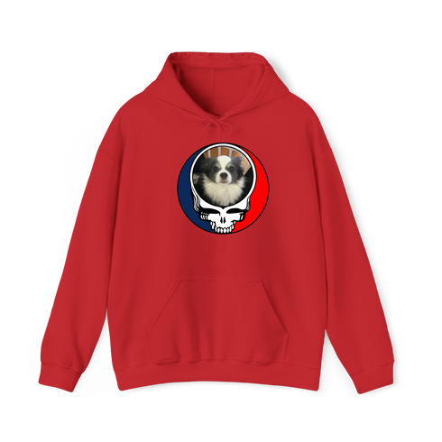 1652 - Custom Stealie Hoodie