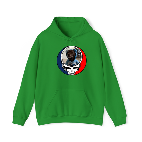1646 - Custom Stealie Hoodie