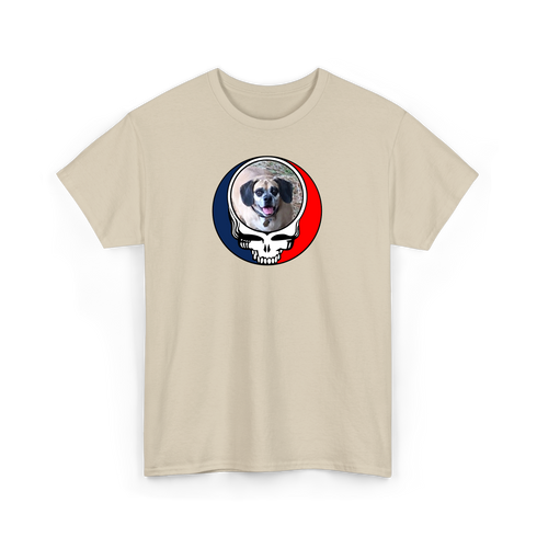 1735 - Custom Stealie T-Shirt