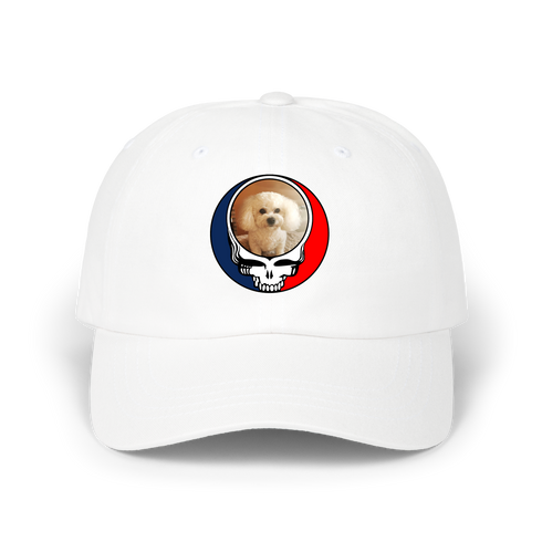 1641 - Custom Stealie Dad Hat