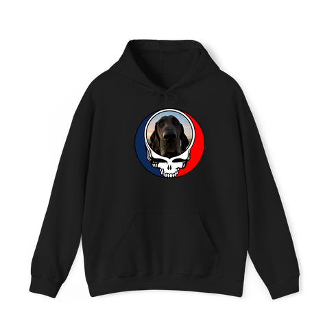 1694 - Custom Stealie Hoodie