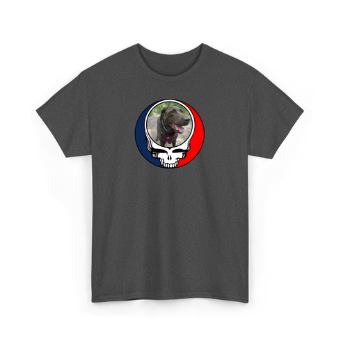 1529 - Custom Stealie T-Shirt