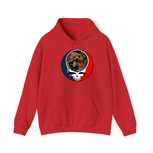 1349 - Custom Stealie Hoodie