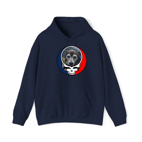 1500 - Custom Stealie Hoodie