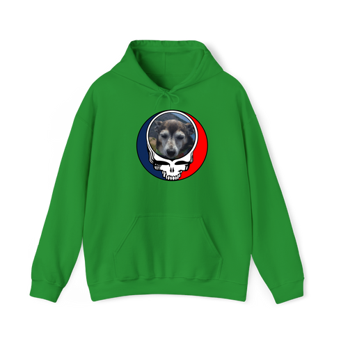 1500 - Custom Stealie Hoodie