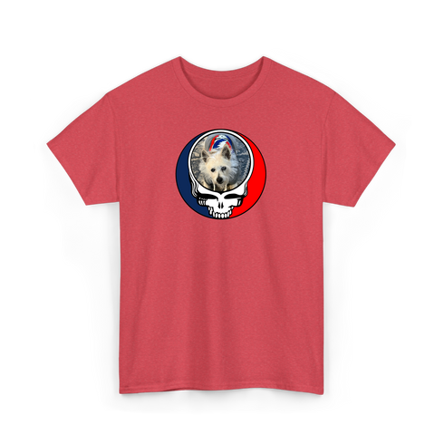 1716 - Custom Stealie T-Shirt
