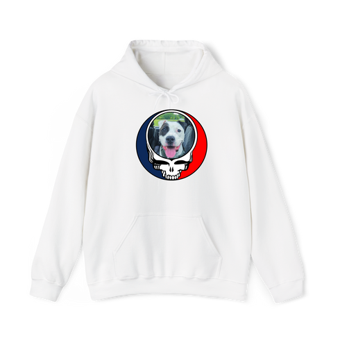1630 - Custom Stealie Hoodie
