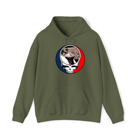 1480 - Custom Stealie Hoodie