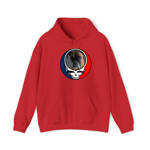 1451 - Custom Stealie Hoodie