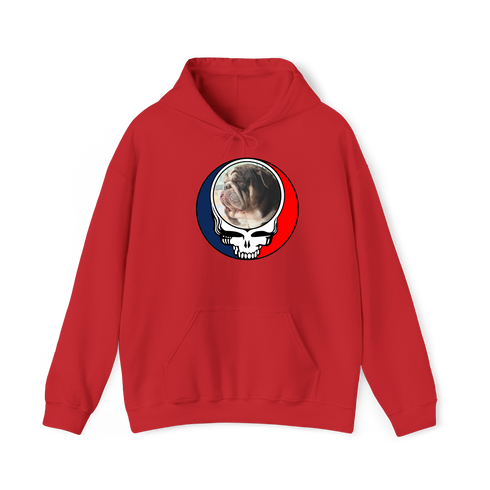 1676 - Custom Stealie Hoodie
